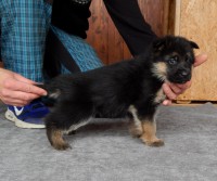 /album/a5-weeks1/kopie-5tyzdnov-f-071-jpg/